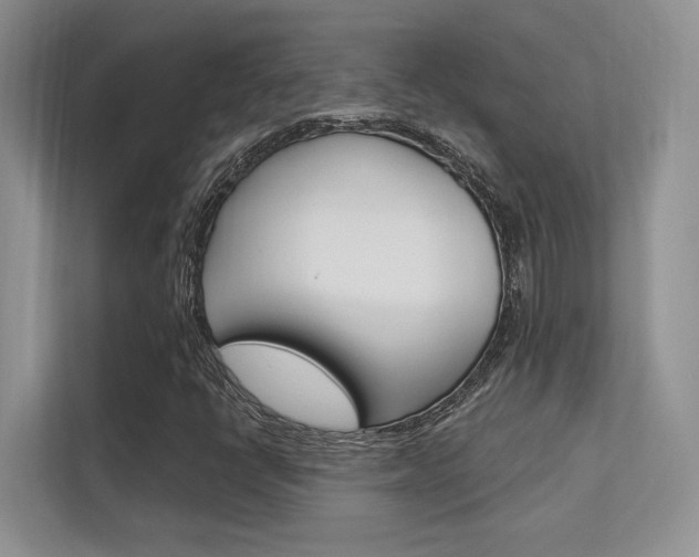 X0000112351398200908131005