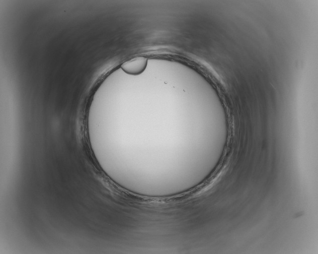 X0000112351405200908131005
