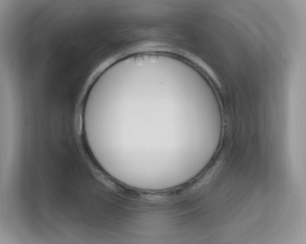 X0000112351413200908131005