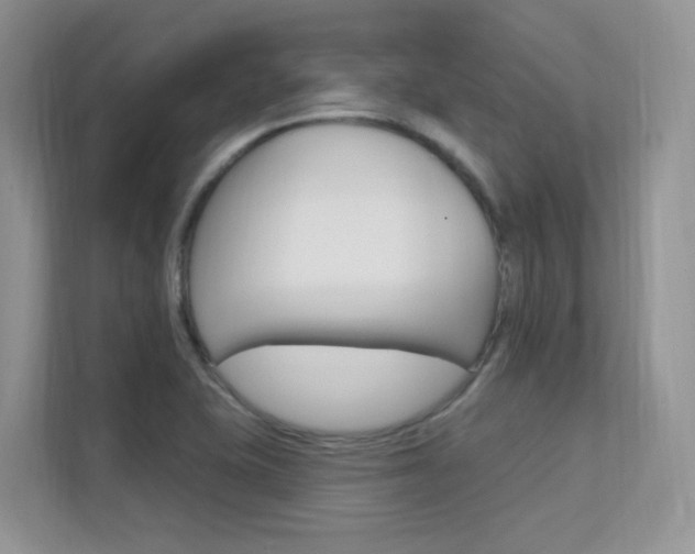 X0000112351415200908131005