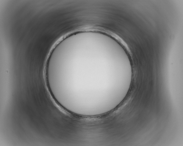 X0000112351429200908131005