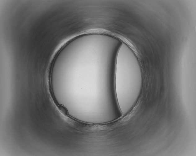 X0000112351430200908131005