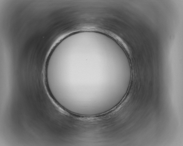 X0000112351432200908131005