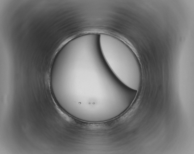 X0000112351433200908131005