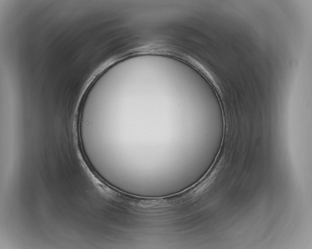 X0000112351434200908131005