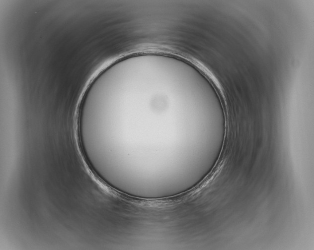 X0000112351437200908131005