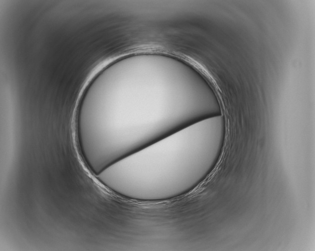 X0000112351440200908131005