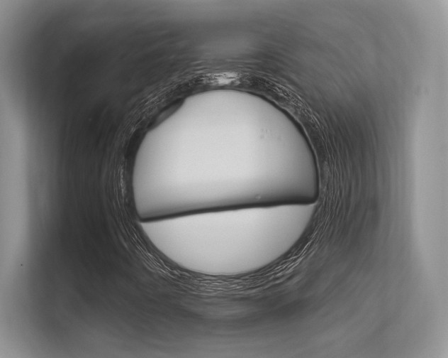 X0000112351442200908131005