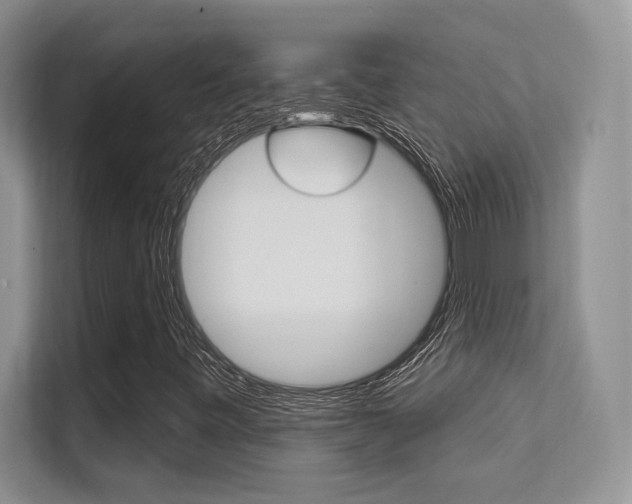 X0000112351443200908131005