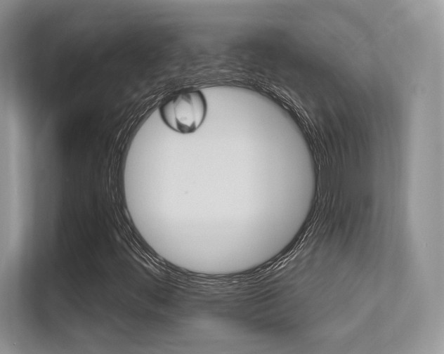 X0000112351444200908131005