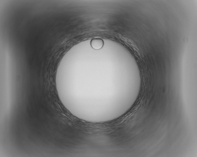 X0000112351445200908131005
