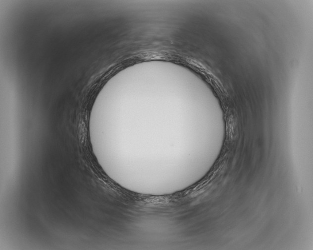 X0000112351446200908131005