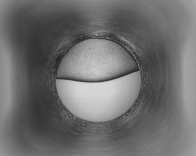 X0000112351447200908131005