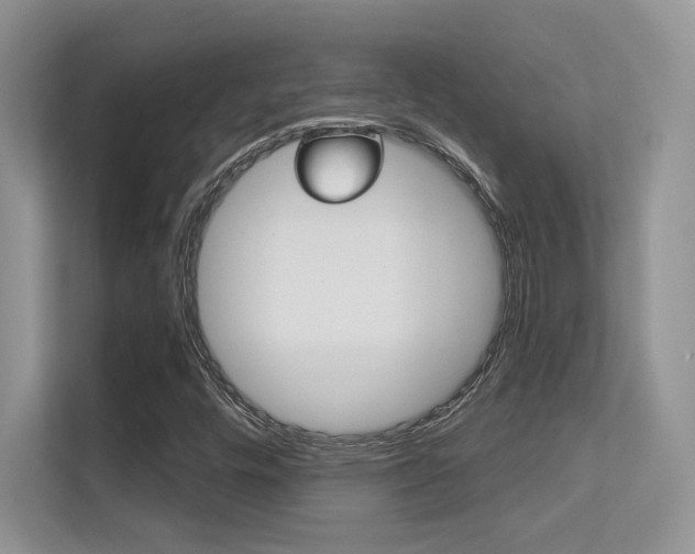 X0000112351448200908131005