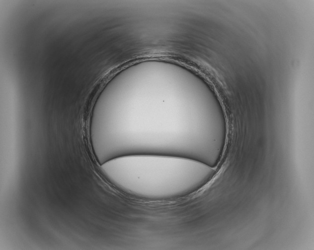X0000112351449200908131005