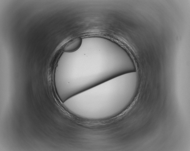 X0000112351450200908131005