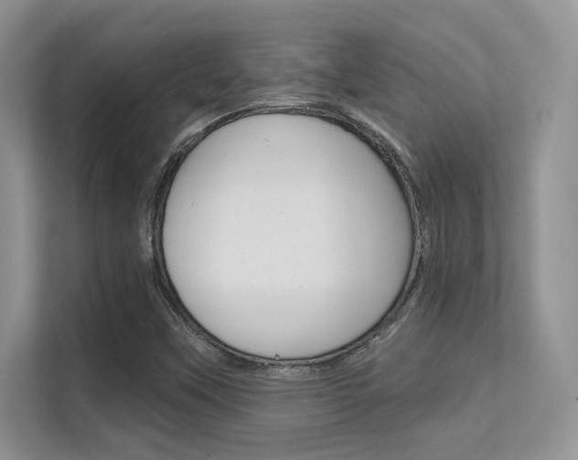 X0000112351451200908131004