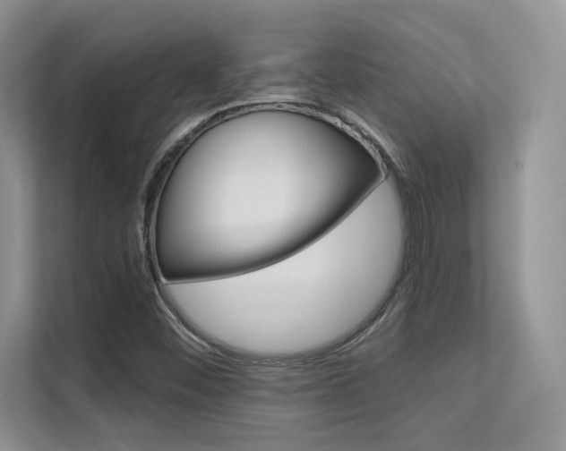 X0000112351452200908131004