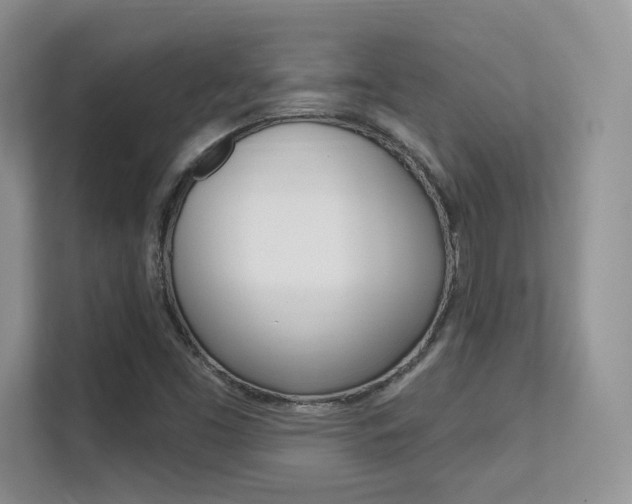 X0000112351453200908131004