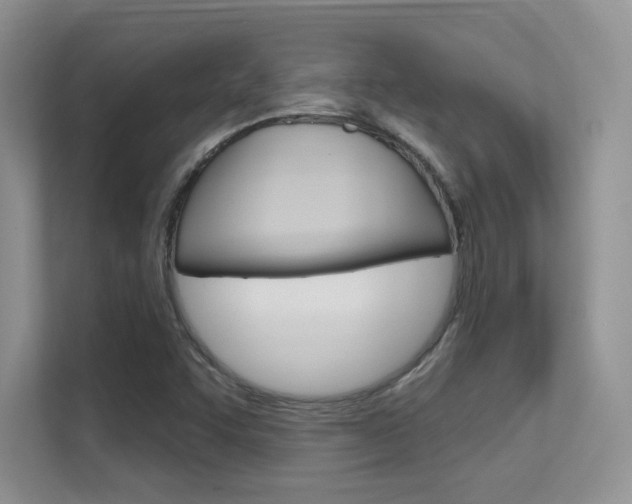 X0000112351455200908131004