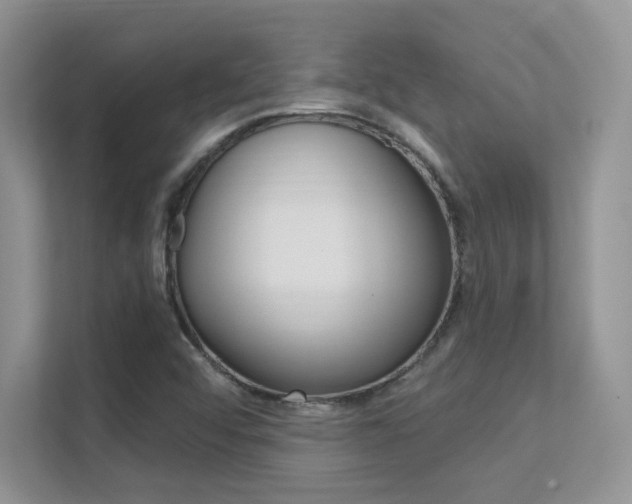 X0000112351456200908131004