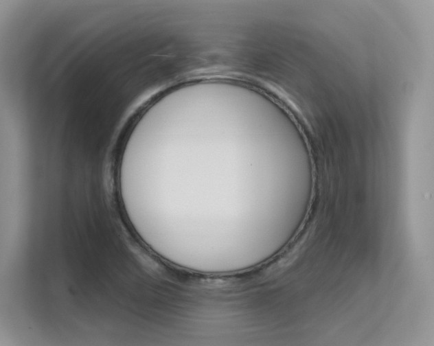 X0000112351458200908131004