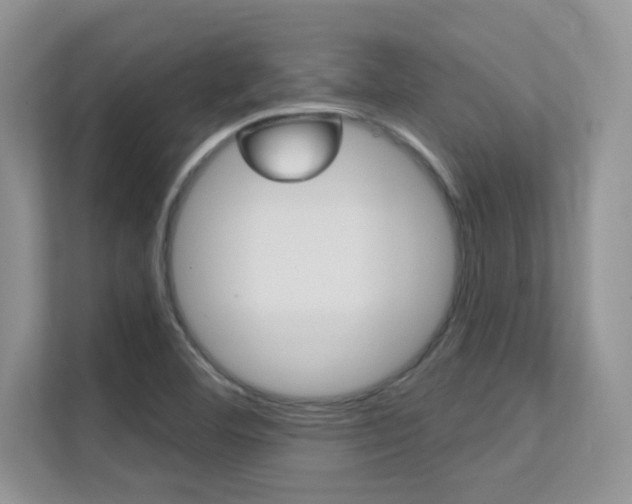 X0000112351460200908131004