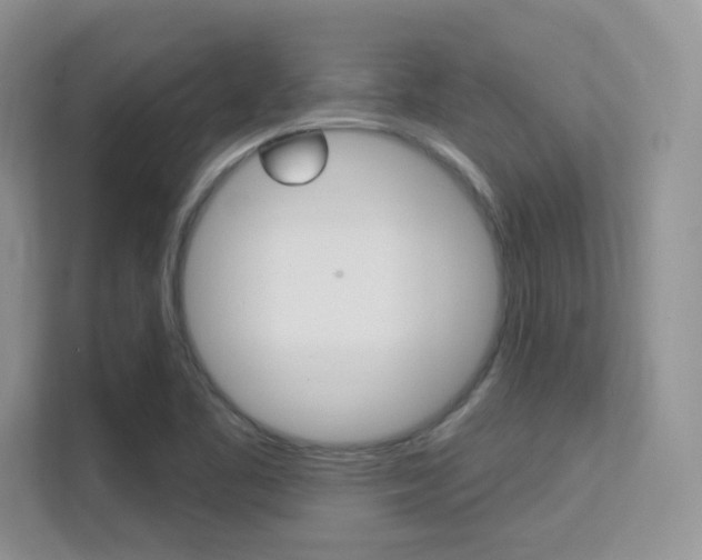 X0000112351461200908131004