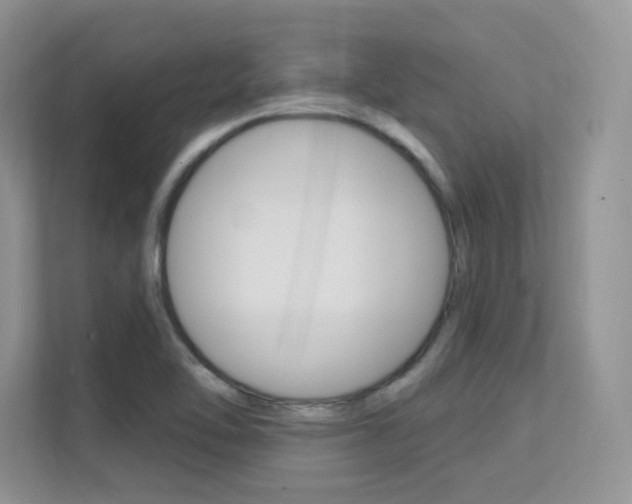 X0000112351462200908131004