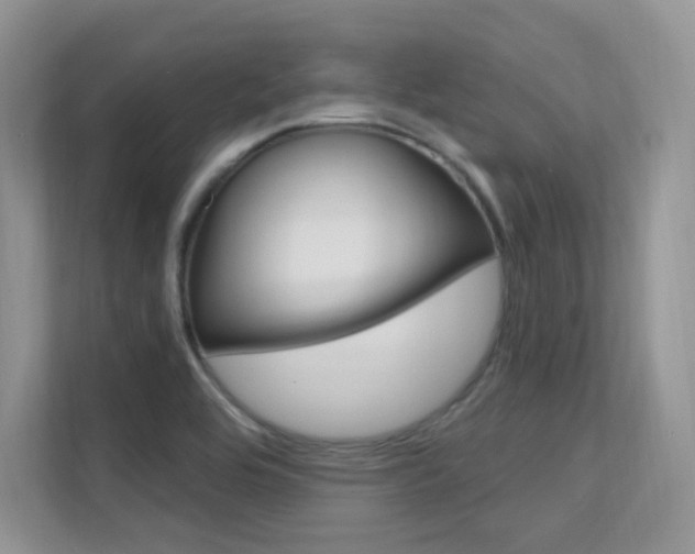 X0000112351464200908131004