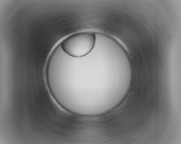 X0000112351468200908131004