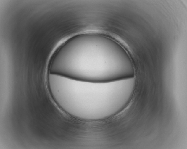 X0000112351469200908131004
