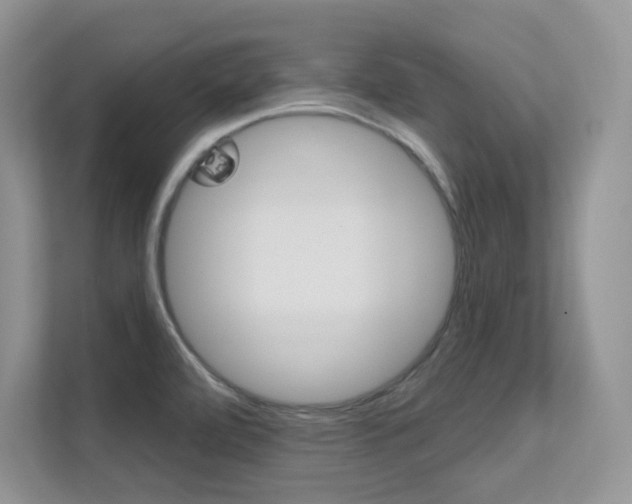 X0000112351472200908131004