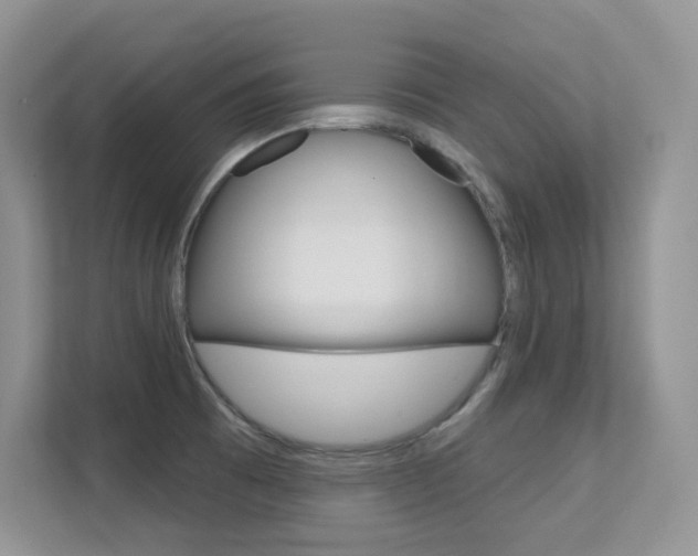 X0000112351473200908131004