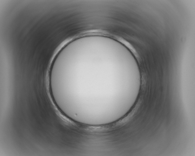 X0000112351474200908131004