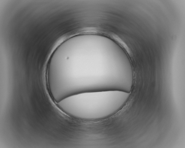 X0000112351475200908131004