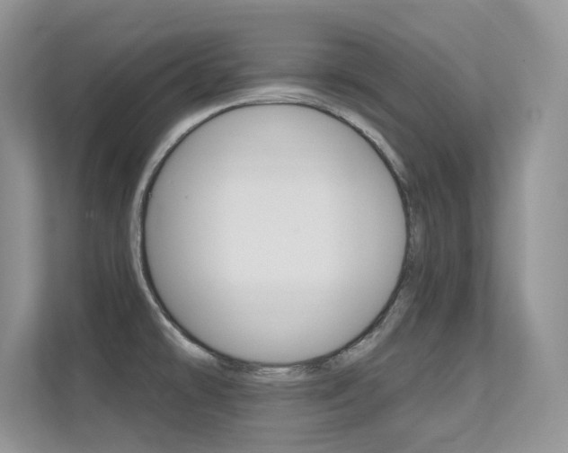 X0000112351478200908131004