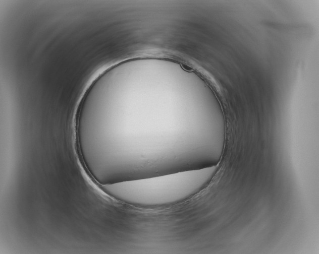 X0000112351479200908131004