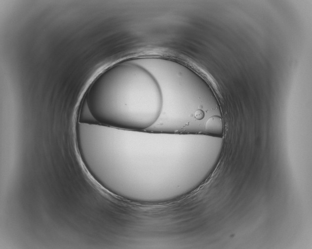 X0000112351483200908131004