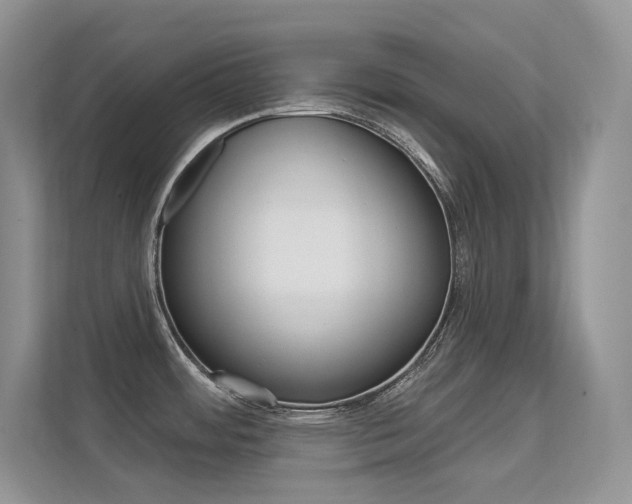 X0000112351484200908131004