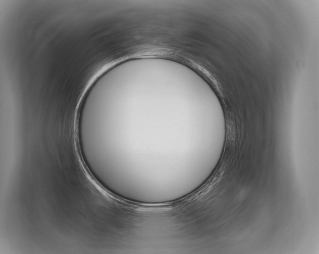 X0000112351487200908131004