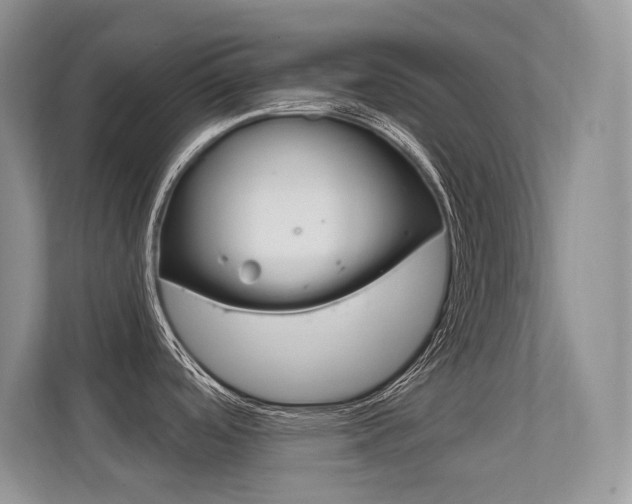 X0000112351488200908131004