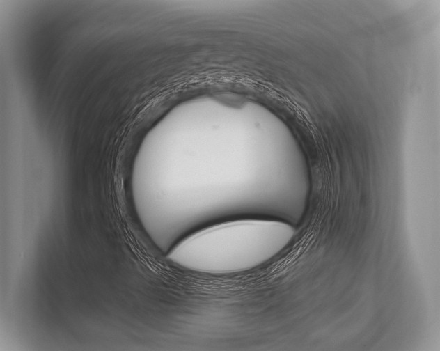 X0000112351489200908131003