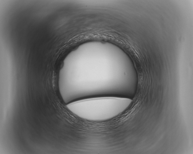 X0000112351490200908131003