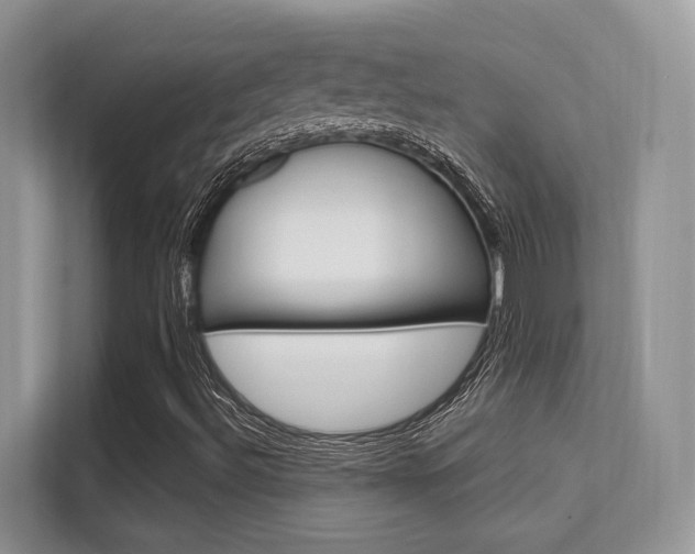 X0000112351492200908131003