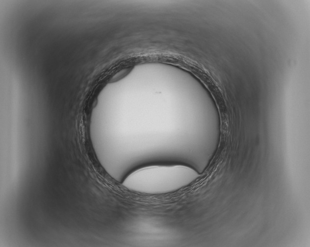 X0000112351493200908131003