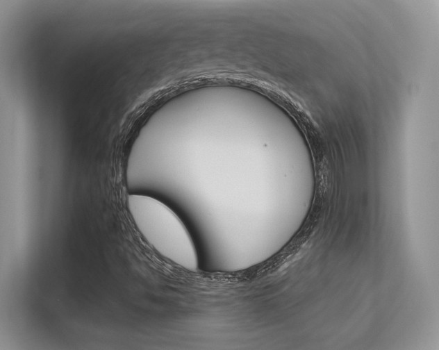 X0000112351494200908131003