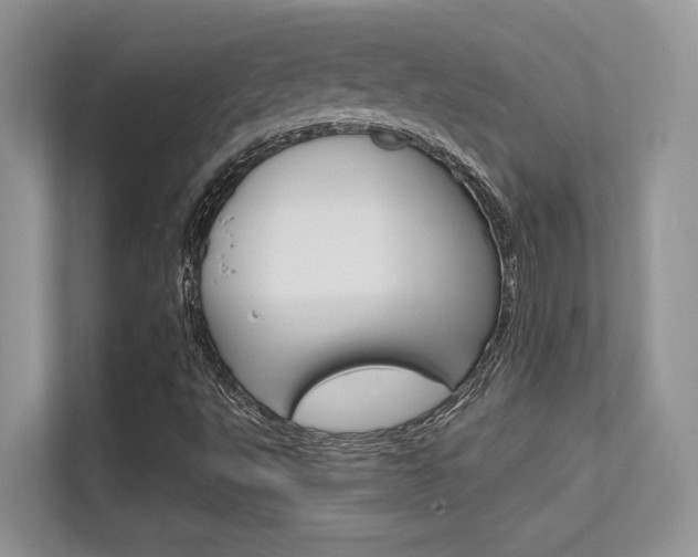 X0000112351495200908131003