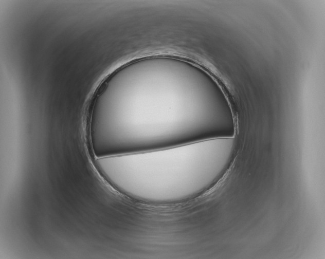 X0000112351500200908131004