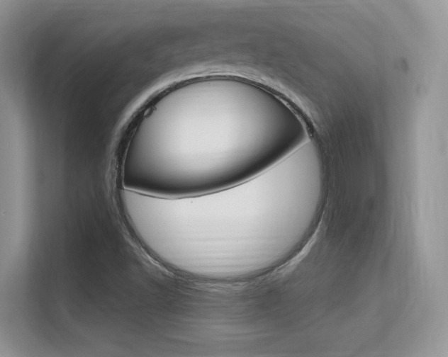 X0000112351502200908131004